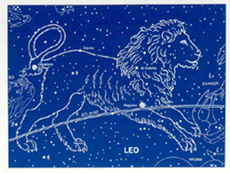 Leo the Lion of Judah