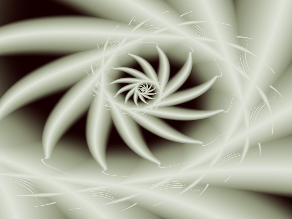 nautilus spiral