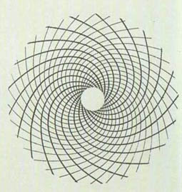 spiral mirabilis